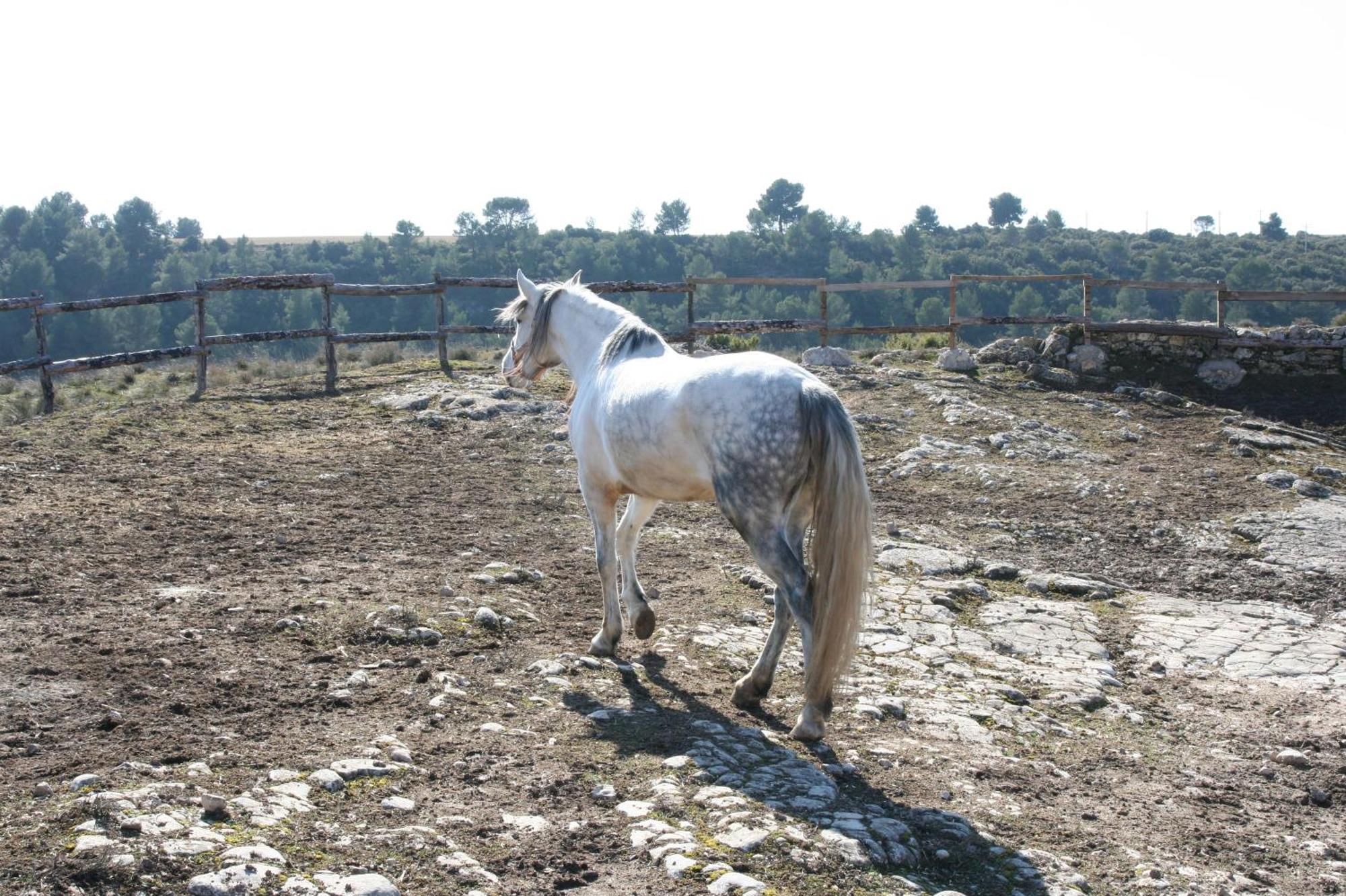 La Posada Del Hidalgo De Alarcón المظهر الخارجي الصورة